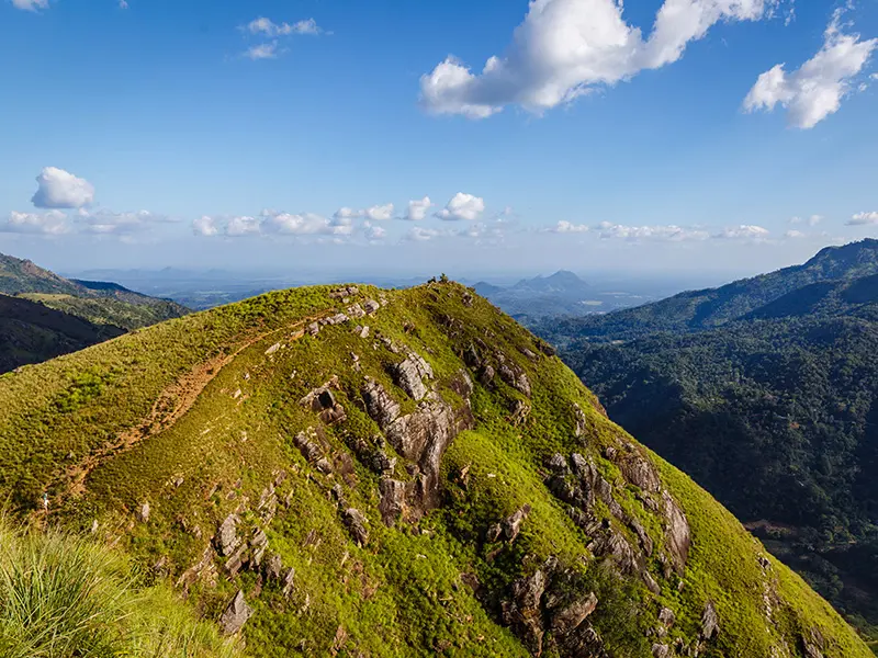 Let Nature Lead the Way