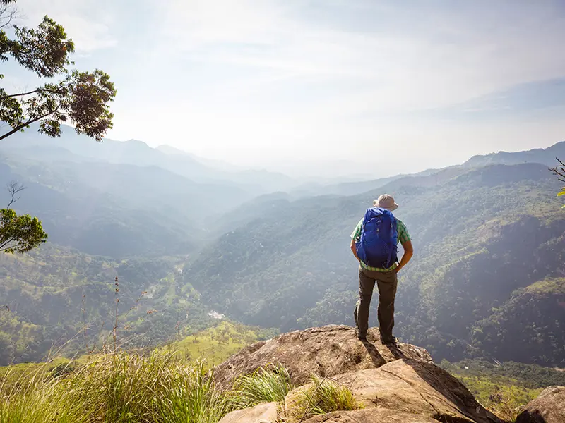 Walk Where the Wild Stories