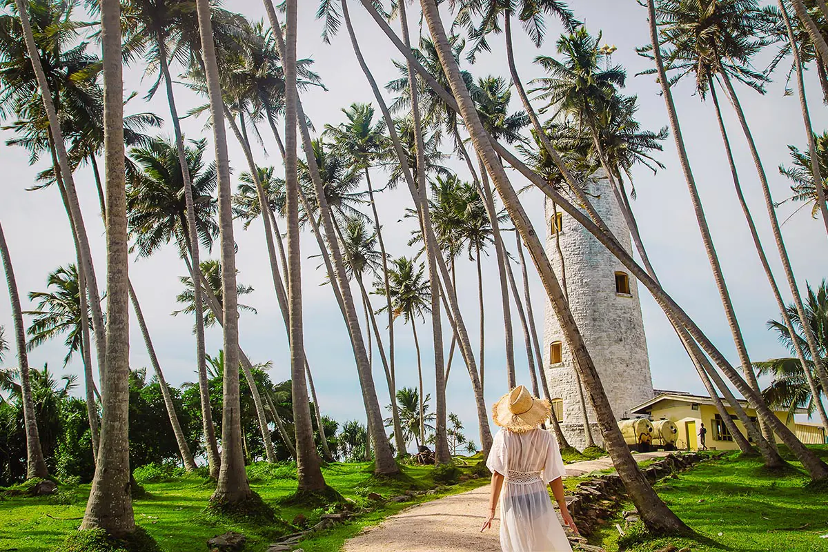 Let Nature Lead the Way