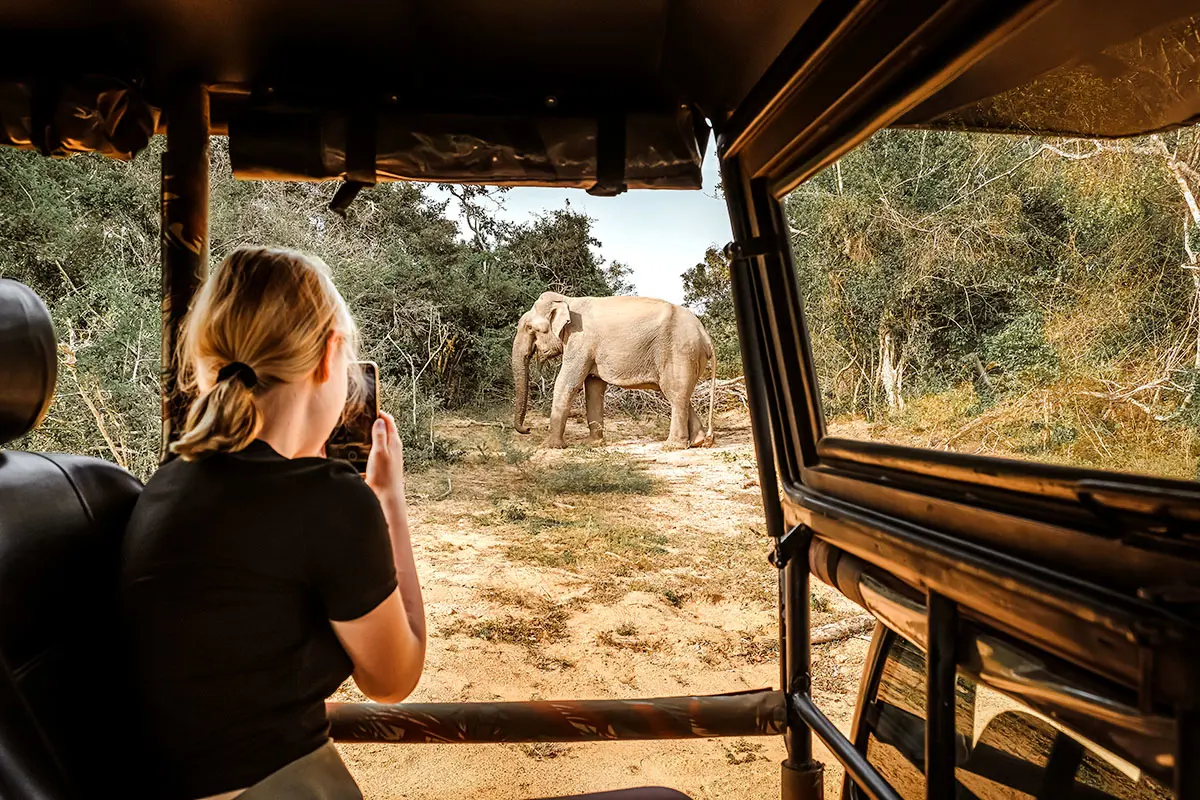 Authentic Safari & Nature Discovery