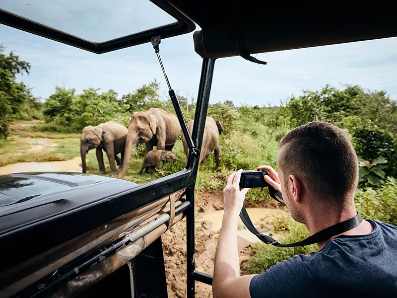 East Coast Highlights with Safari Wonders